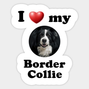 I Love My Border Collie Sticker